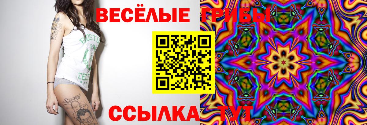 Галлюциногенные грибы Psilocybe  Галлюциногенные грибы GOLDEN TEACHER  Кунгур  Вход с VPN 